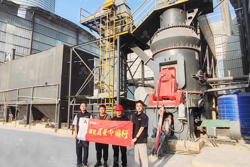 Modern vertical mill grinding chamber