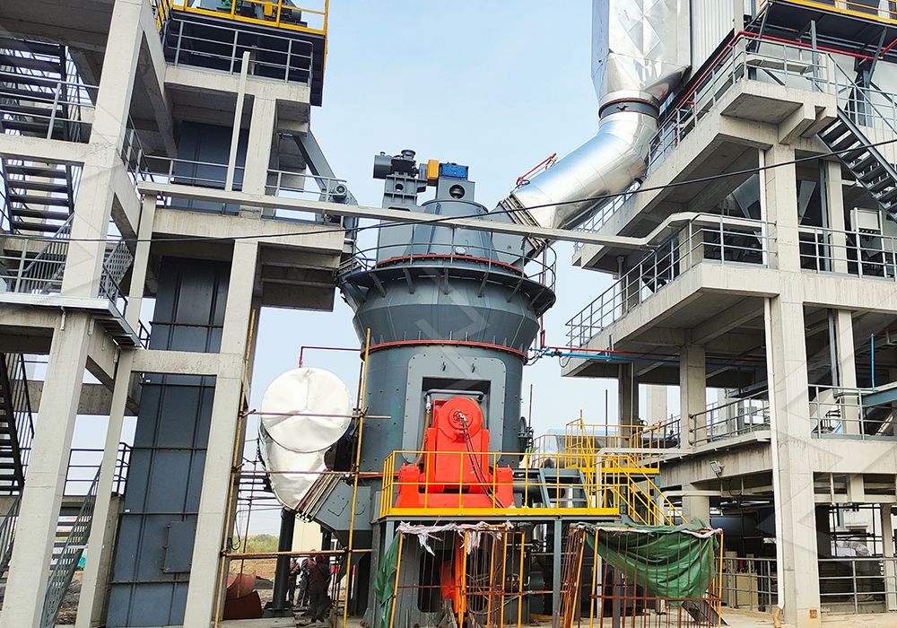 Internal view of LM mill grinding chamber