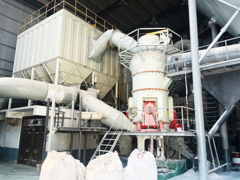 Vertical roller mill LM crushing potassium ore in industrial environment