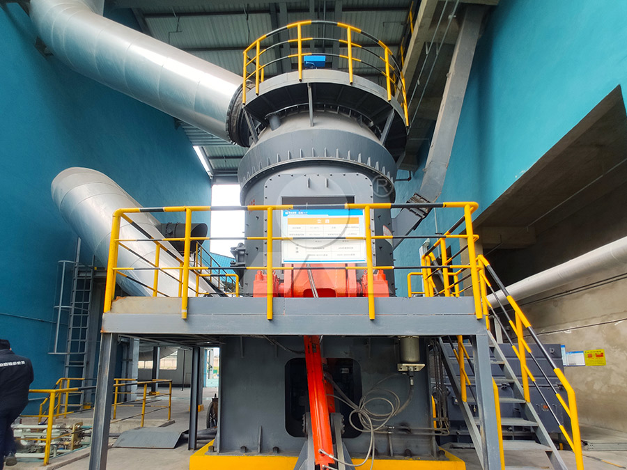 Technical support team inspecting LM vertical mill in Chongqing